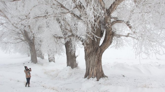Yurttan kar manzaraları