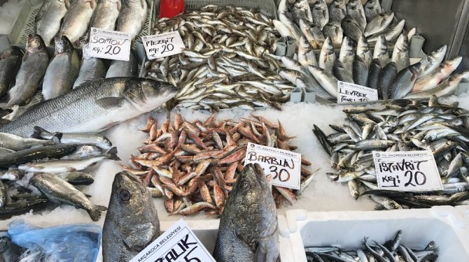 Hamsi zam şampiyonu oldu