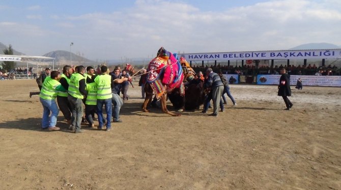 Develeri ayırmak kolay olmadı