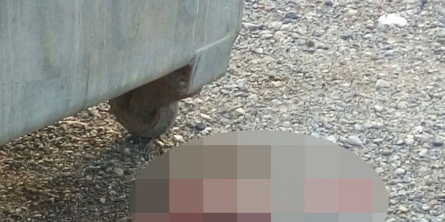Kan donduran olay! Çöpte bulundu
