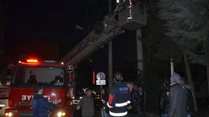 Kediyi kurtarmak için bütün şehrin elektrikleri kesildi