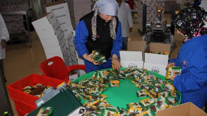 ’Okul üzümü’ çiftçinin de yüzünü güldürdü