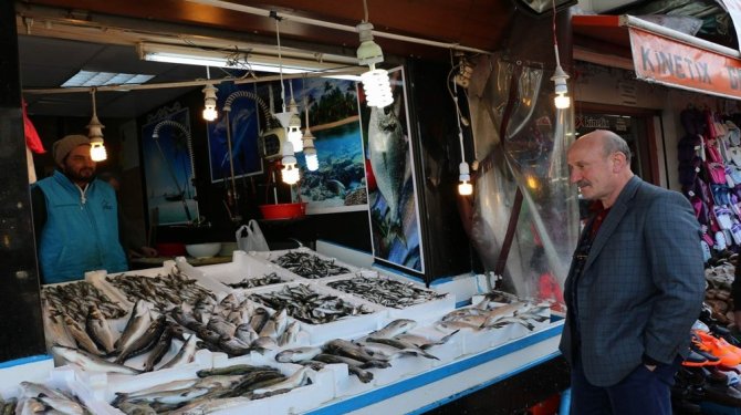 Hamsi rekora koşuyor