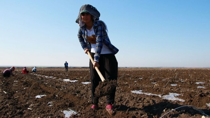 Saatlik ücretleri 4 lira 45 kuruş; kadınlar dertli