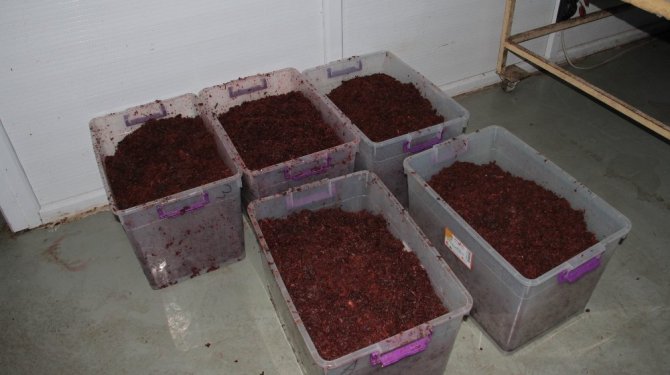 1,5 ton kaçak nargile tütünü ele geçirildi