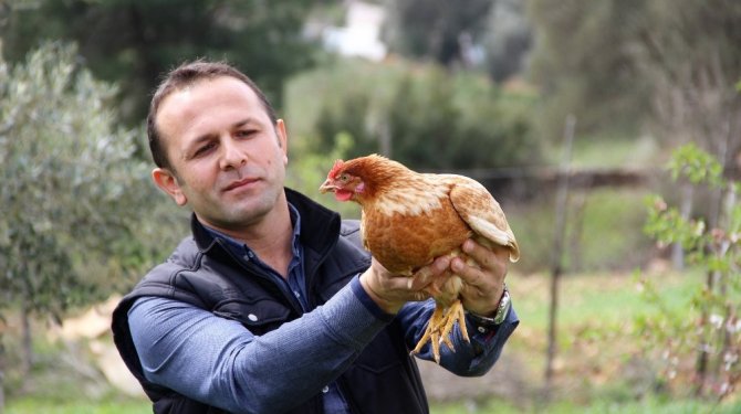 Ödünç aldığı tavuklar sayesinde patron oldu