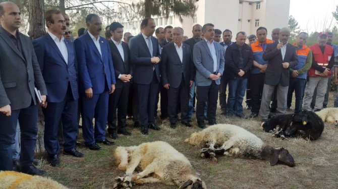 Deprem bölgesinde şükür kurbanları kesildi