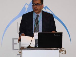 Strateji Profesörü Pankaj Ghemawat: