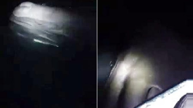 Balıkçıların karşısına dev bir balina çıktı