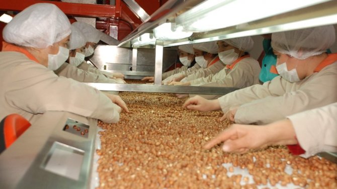 Fındıga neler oluyor?