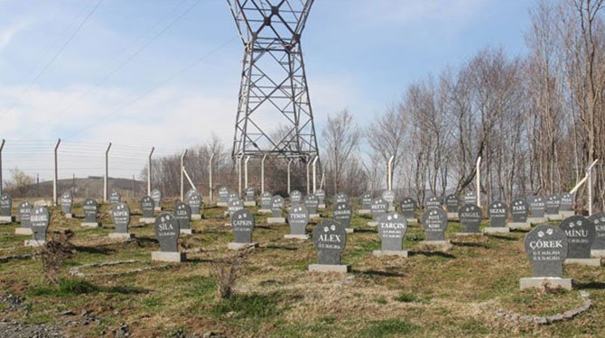 Bu mezarlıkta insan yok!