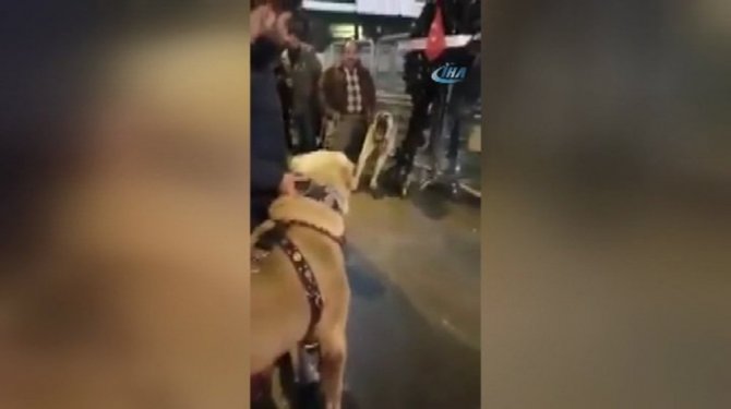 Hollanda’yı kangalla protesto ettiler