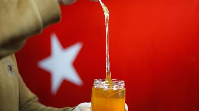 Bir kilogram 'Peri balı' 5 bin avro