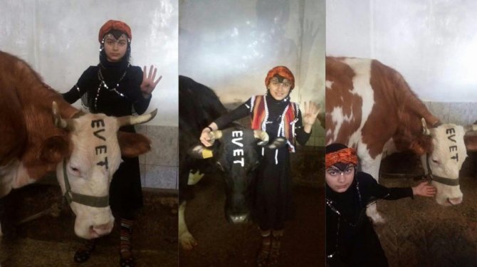 Rizeli Heidi "evet" diyor