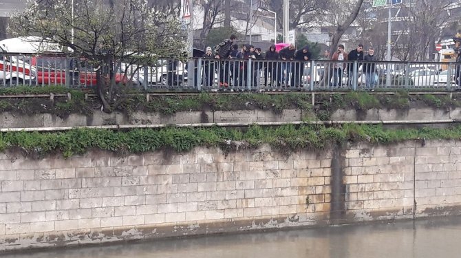 Ceset çıkarma operasyonunu film izler gibi izlediler