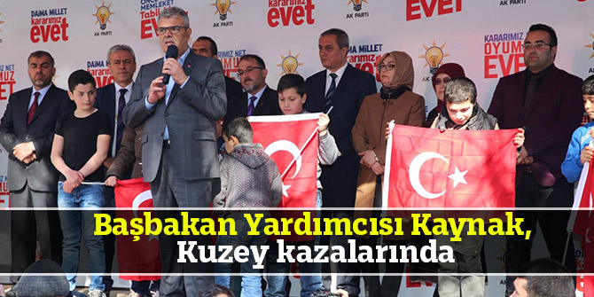 Başbakan Yardımcısı Kaynak, Kuzey Kazalarında