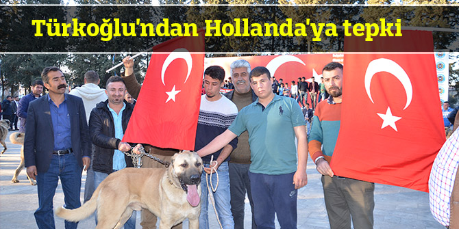 Türkoğlu'ndan Hollanda'ya Tepki