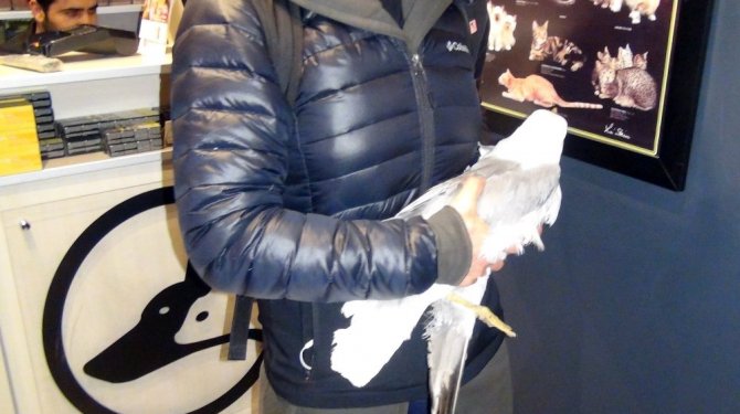 "İnsanlık ölmemiş" dedirtti