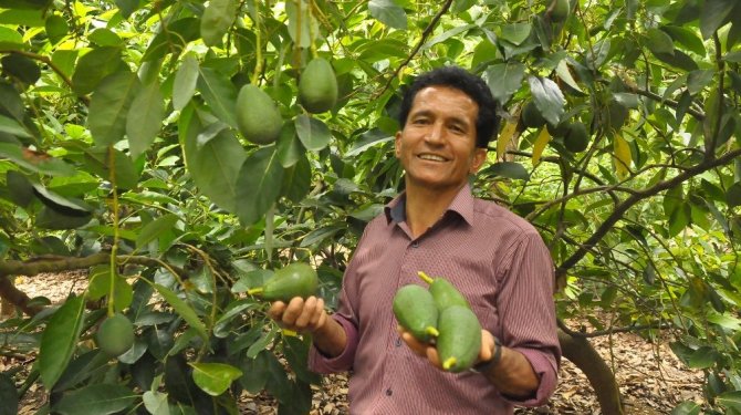 Tanesi 5 TL’ye yükseldi, üreticisinin yüzünü güldürdü