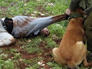 İsrail Askerinden Yaralı Filistinliye Köpekli İşkence