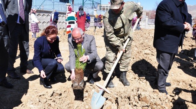 Öğrenciler İstanbul’un Fethi anısına 1453 fidan dikti