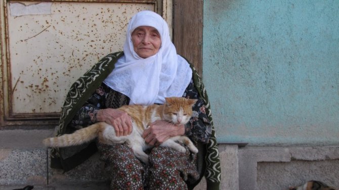 Ömrünü kedileri adadı