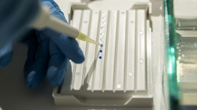 DNA onarımının kritik bileşeni bulundu