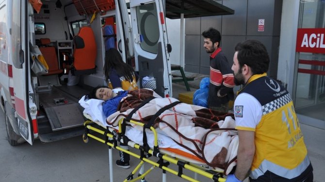 Miras kavgasında kan aktı