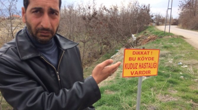 Elazığ’da bir köyde kuduz karantinası