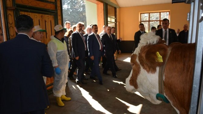 Bakan Çelik ilk embriyo transferini gerçekleştirdi