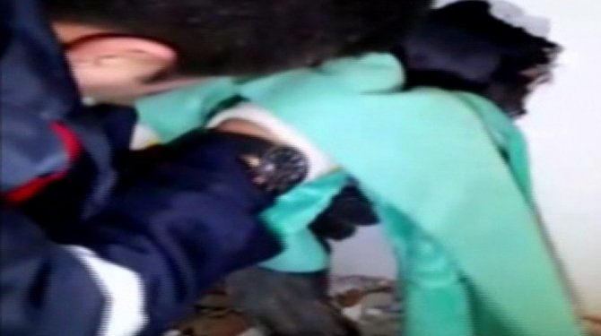 Bacada sıkışan martıları itfaiye kurtardı