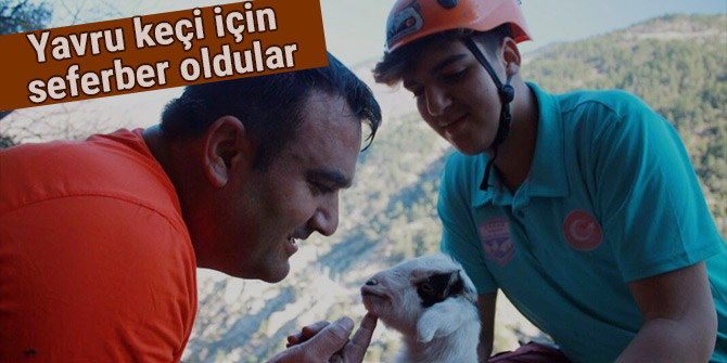 Yavru keçi için seferber oldular