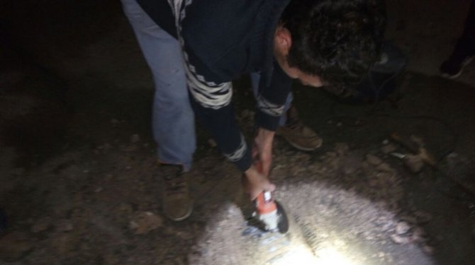 Bu da tavuk kurtarma operasyonu