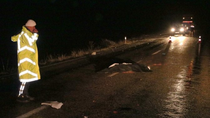 Yardım istemek için ana yola çıktı canından oldu