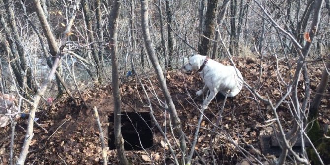 PKK'YA AİT SIĞINAK ELE GEÇİRİLDİ