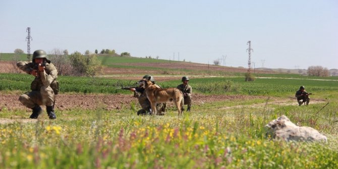 FETÖCÜLERE VE KAÇAKLARA GÖZ AÇTIRMIYOR