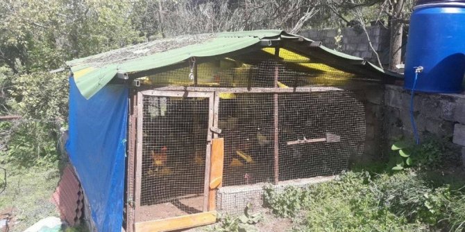 BU KÜMES 50 BİN DOLAR