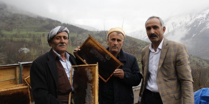 ARI ÖLÜMLERİ ARICILARI ZOR DURUMDA BIRAKTI