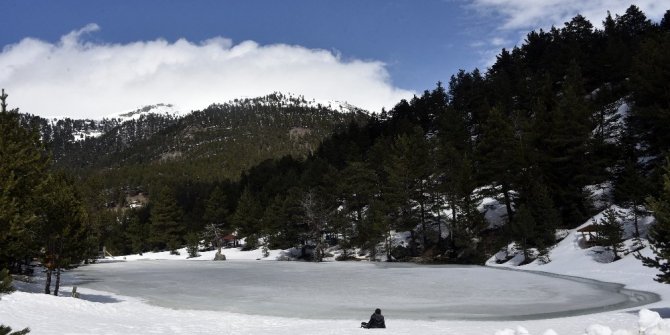 GERÇEK BİR DOĞA HARİKASI