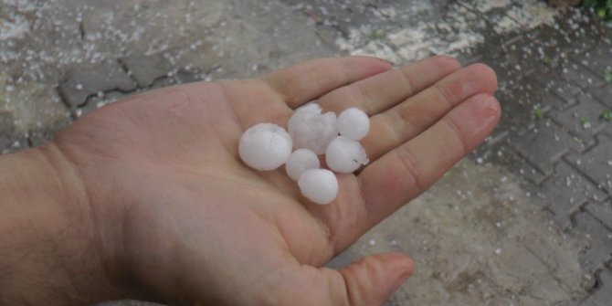 FINDIK BÜYÜKLÜĞÜNDE DOLU HAYATI OLUMSUZ ETKİLEDİ