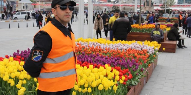 TAKSİM MEYDANI’NDAKİ LALELER KORUMA ALTINDA