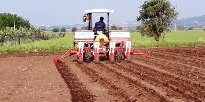 YER FISTIKLARI TOPRAKLA BULUŞTU