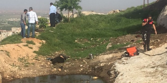 KÖPEK SAHİPLENME KAVGASI: 2 ÖLÜ, 5 YARALI