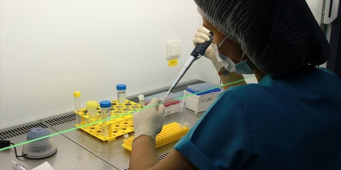 TÜRK BİLİM İNSANLARINDAN 'TÜP BEBEK' YÖNTEMİNDE YENİ ÇALIŞMA