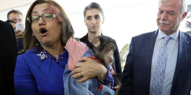 HAYVANAT BAHÇESİNDE FATMA ŞAHİN’İN ZOR ANLARI