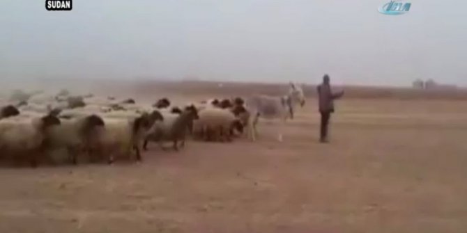 İŞTE DÜNYANIN EN İTAATKAR ORDUSU