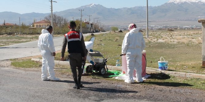 NİĞDE’DE KUŞ GRİBİ ŞÜPHESİ! DEZENFEKTE EDİLİYOR