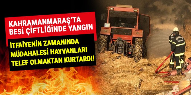 KAHRAMANMARAŞ’TA BESİ ÇİFTLİĞİNDE YANGIN