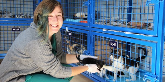 HAYVANLAR BEETHOVEN, MOZART DİNLEYEREK RAHATLIYOR