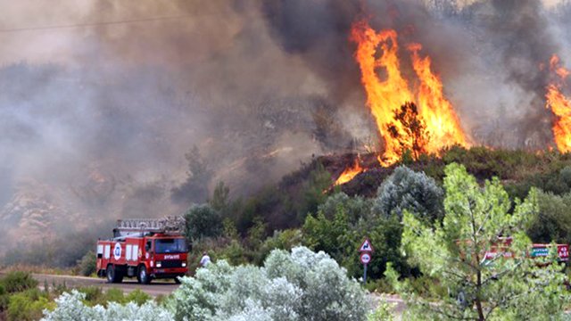 ORMAN YANGINI! 5 HEKTAR KIZILÇAM ORMANI ZARAR GÖRDÜ